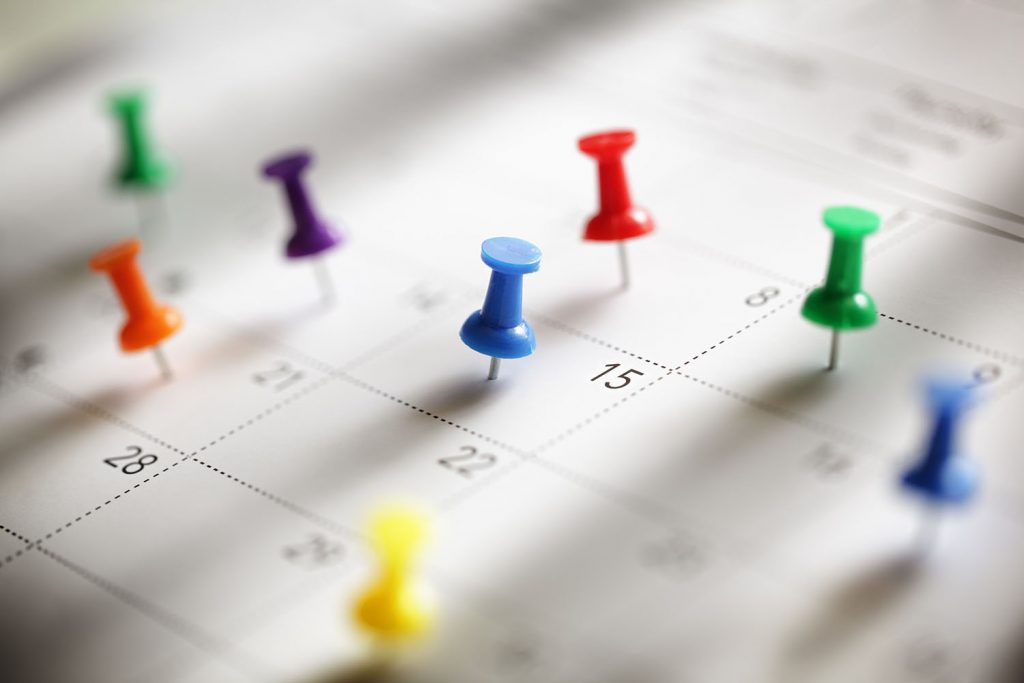 Organización y planeación: calendario